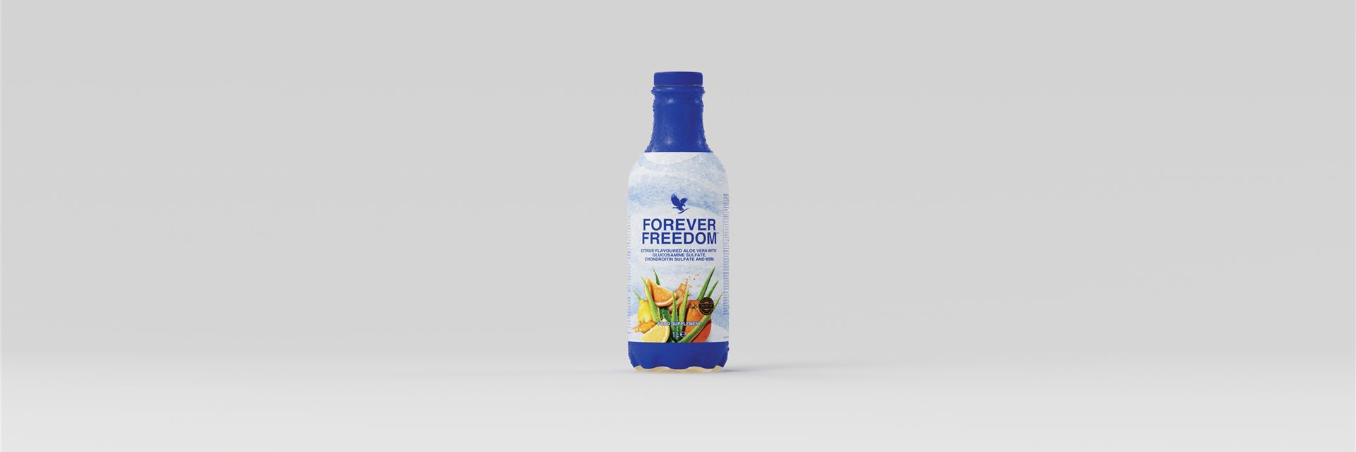 Aloe Vera aus Obermichelbach - Gabriele Pronath