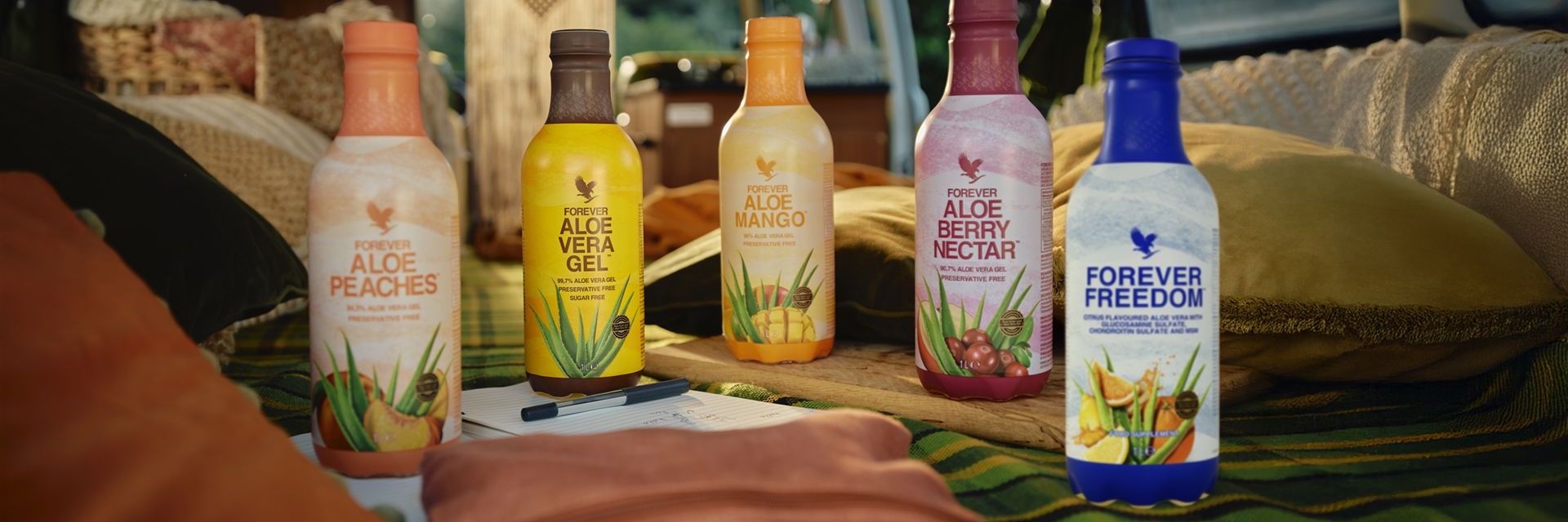 Aloe Vera aus Obermichelbach - Gabriele Pronath