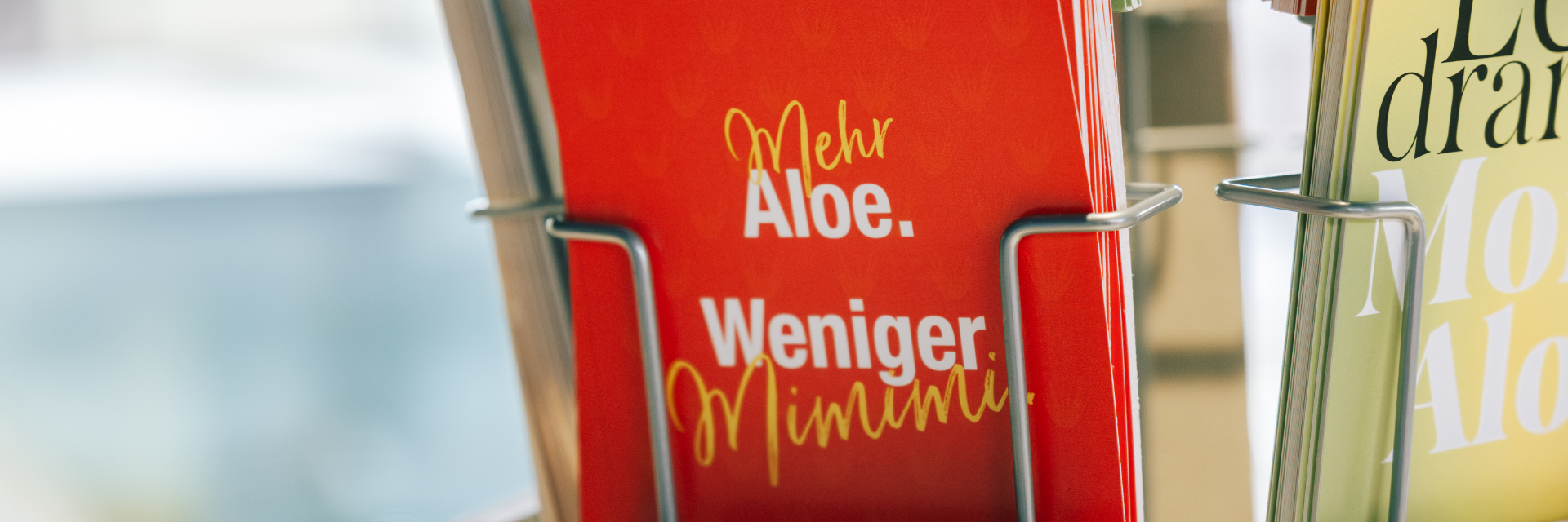 Aloe Vera aus Obermichelbach - Gabriele Pronath